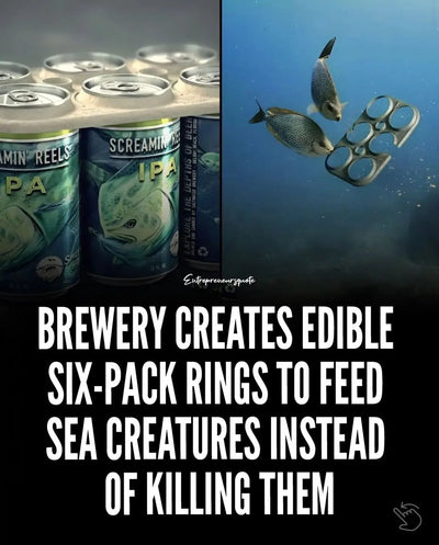 The Surprising Link Between Beer and Ocean Conservation