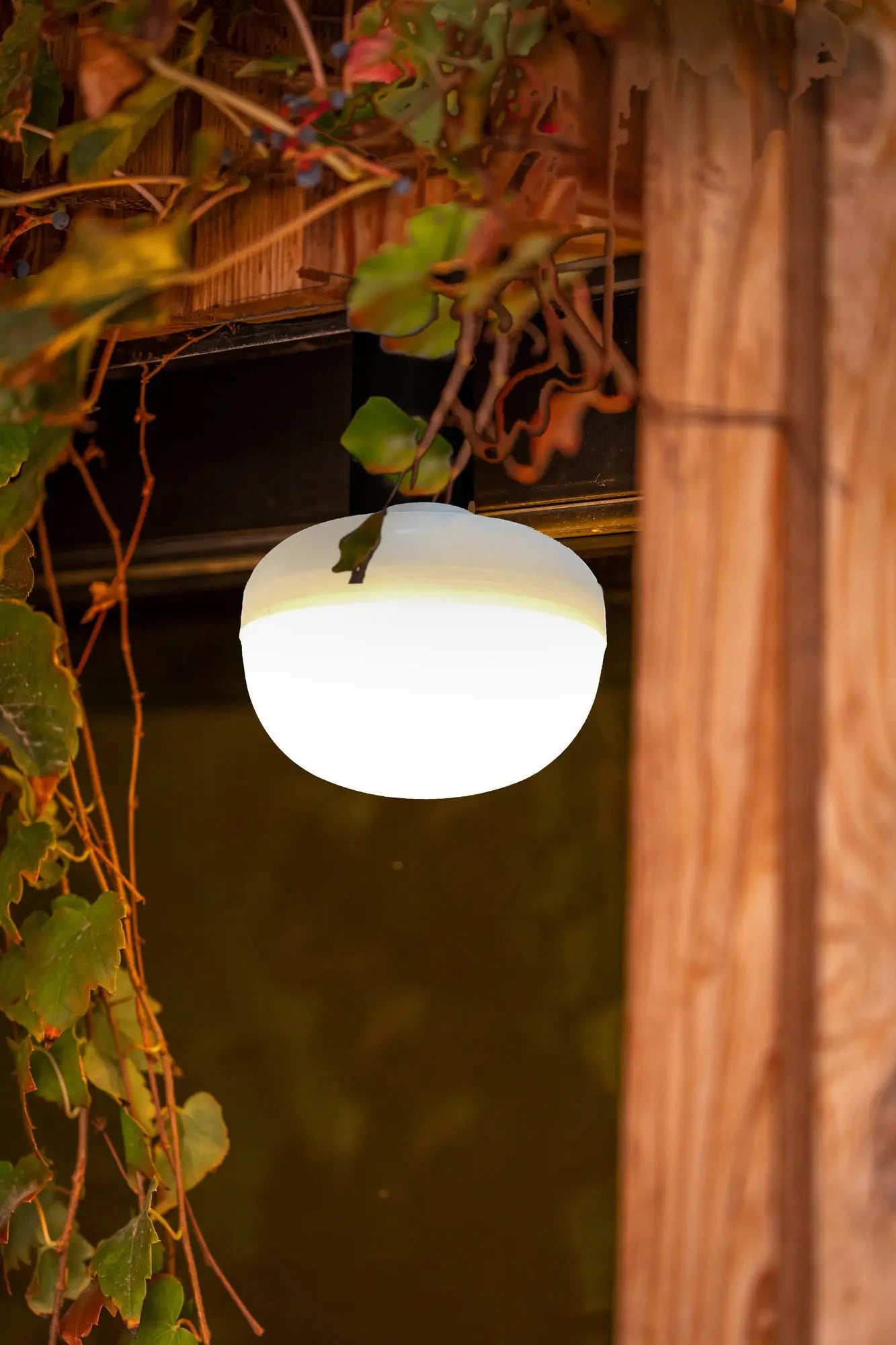 Cherry LED Hanging Lights Las Olas Luxury Living | Poolside Chaise Lounge Chairs